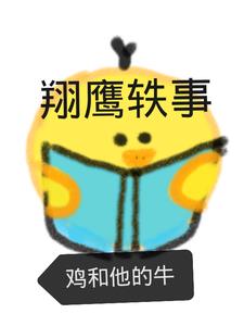 翔鹰轶事