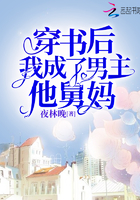 穿书后,我成了男主的舅妈