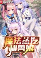 蒸汽与魔法游戏