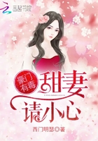 豪门有毒：甜妻,请小心