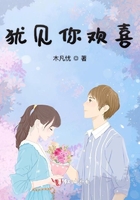 见你便欢喜