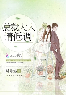 总裁大人,请低调