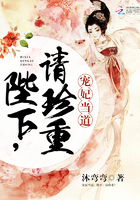 宠妃当道:陛下,请珍重!