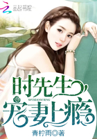 时先生,宠妻上瘾