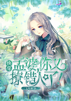 快穿：孟婆,你又撩错人了！