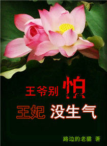王爷别怕,王妃没生气