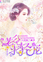 独家专宠：老公,求轻宠