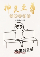 至尊神灵小说