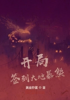 开局签到暴风龙