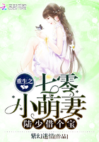 重生之七零小萌妻:陆少,借个宝