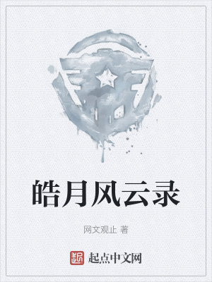 皓月风云录 网文观止