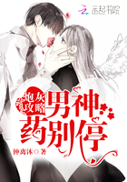 炮灰攻略：男神,药别停