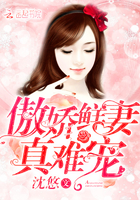 傲娇鲜妻,真难宠！
