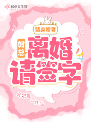 替身娇妻：贺总,离婚请签字