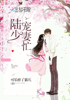 陆少,宠妻忙