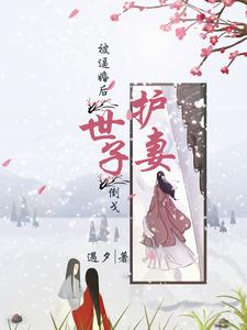 嫁他,助他上位