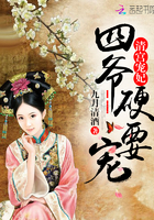 清宫宠妃：四爷,硬要宠！