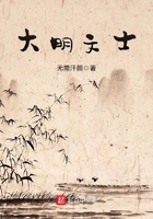 大明文魁全文免费阅读(幸福来敲门)