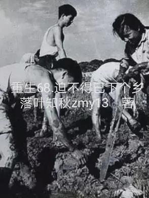 迫不得已下个乡 笔趣阁