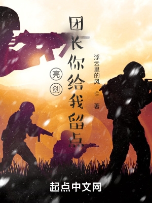亮剑:团长你给我留点