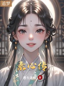 素心传 弧度