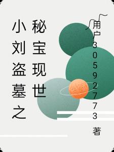 小刘盗墓之秘宝现世小说