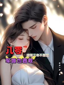 八零后军婚小说甜文