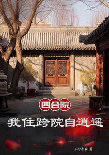 四合院我是黑市掌控者林阳