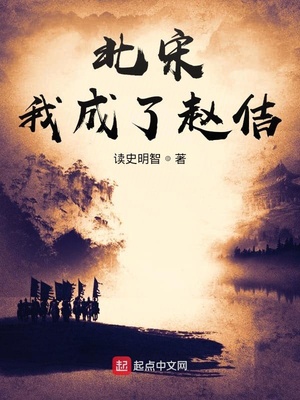 北宋:我成了赵佶