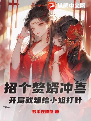 招个赘婿冲喜,开局就想给小姐打针？