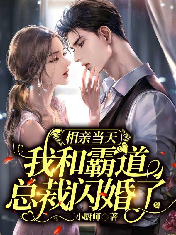 相亲当天,我和霸道总裁闪婚了