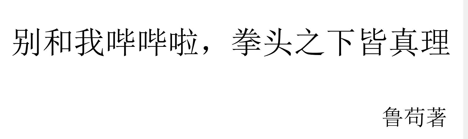 别和我哔哔啦,拳头之下皆真理