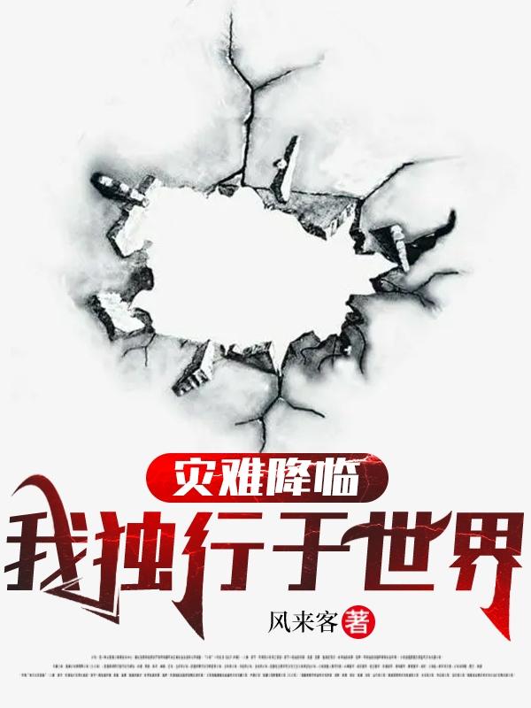 灾难降临,我独行于世界