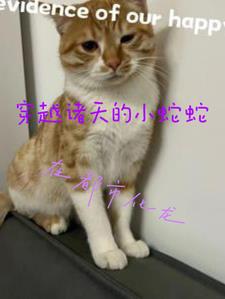 从蛇开始穿越诸天