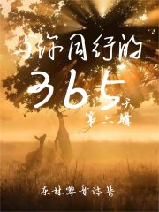与你同行全文阅读