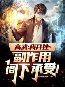 高武：我开挂,副作用阁下承受！