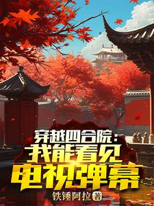 小说人在四合院悄悄发财