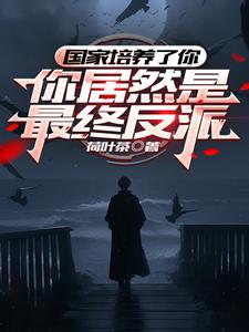 开局世界公敌,我潜伏在官方内部