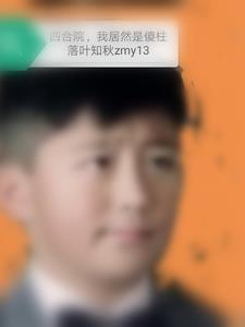 四合院我居然是傻柱免费阅读