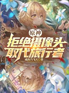 原神：拒绝摄像头,取代旅行者