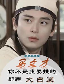 马文才小说完结
