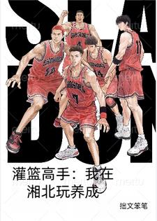 灌篮高手湘北怎么进的全国大赛