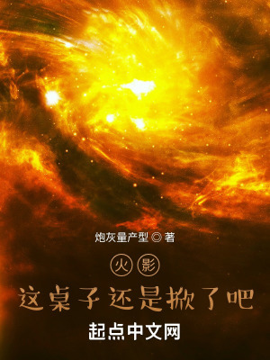 火影,这桌子还是掀了吧