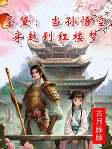 穿越红楼,孙悟空成了红楼男主