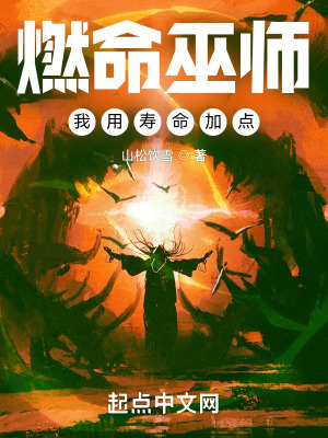 燃命巫师,我用寿命加点