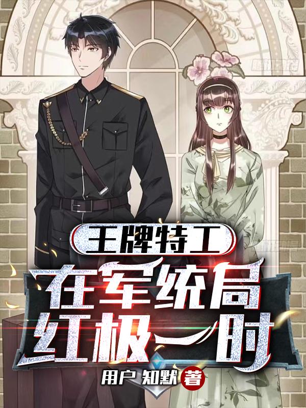 王牌特工：在军统局红极一时