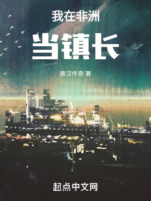 我在非洲当镇长笔趣阁