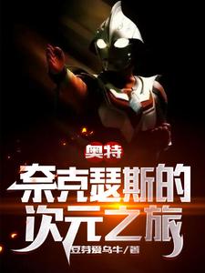 奥特奈克瑟斯的次元之旅小说