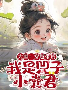 大唐：穿越带货,我是兕子小囊君