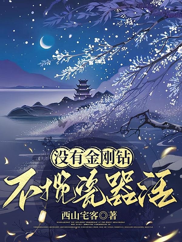 没有金刚钻,不揽瓷器活